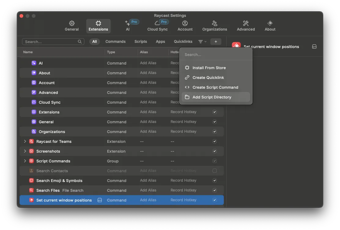 Raycast Settings